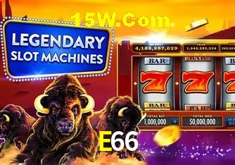Secure Login E66