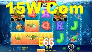 E66 App Interface